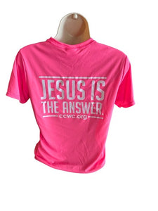 Pink Jesus is the Answer short sleeve t shirt for kids & plus sizes